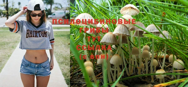 спиды Белокуриха