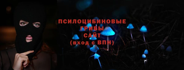 спиды Белокуриха