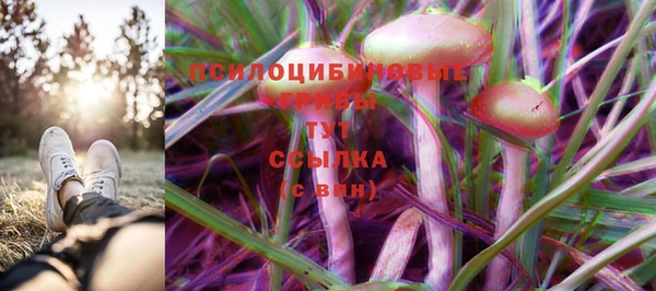 спиды Белокуриха