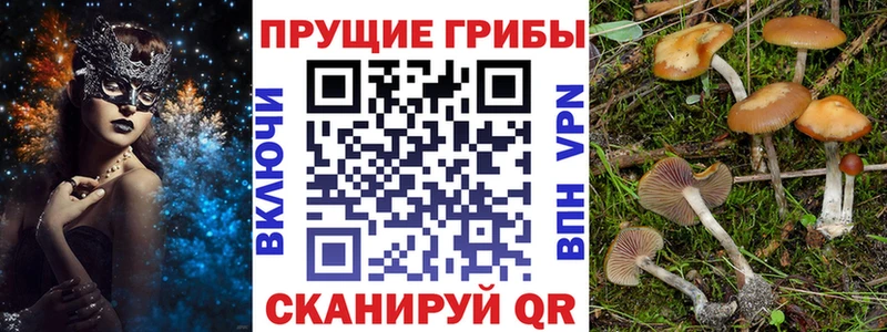 Галлюциногенные грибы GOLDEN TEACHER  что такое наркотик  Бугульма 